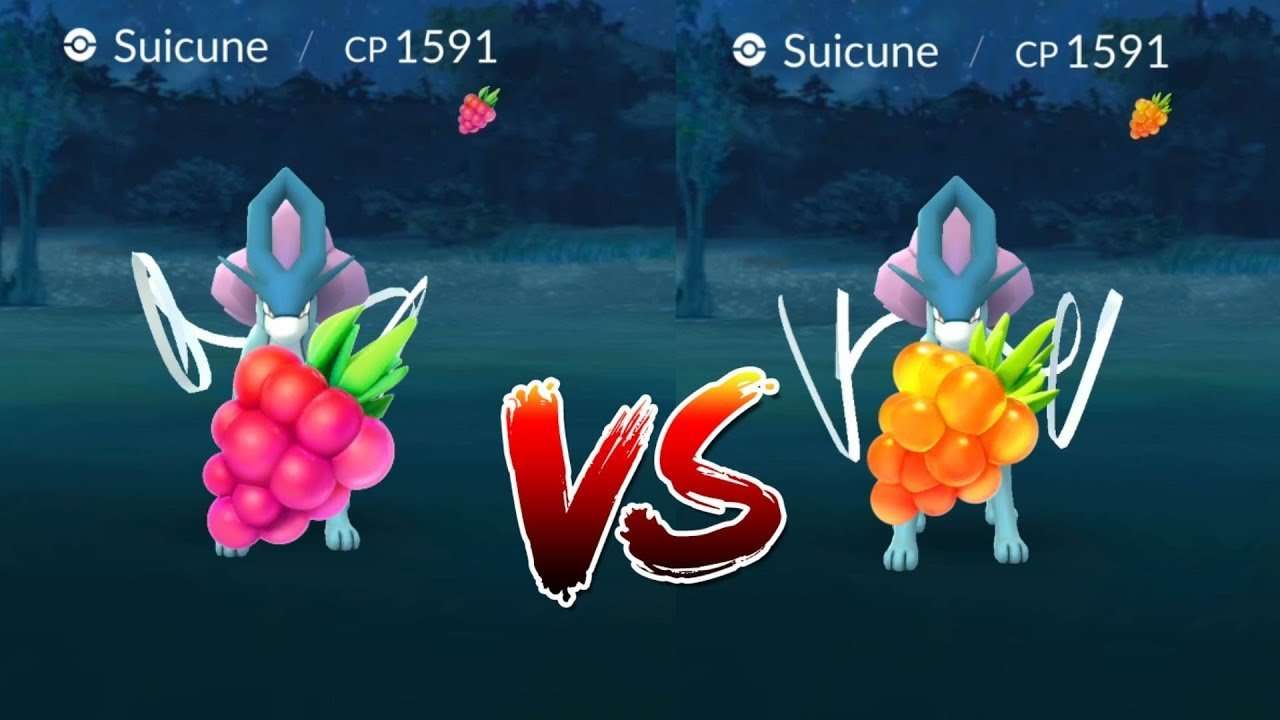 Golden Razzberry vs Normal razz berry! Pokemon Go ...