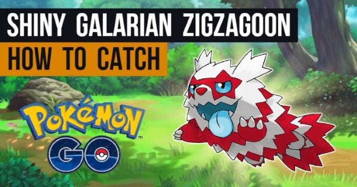 How To Catch Shiny Galarian Zigzagoon
