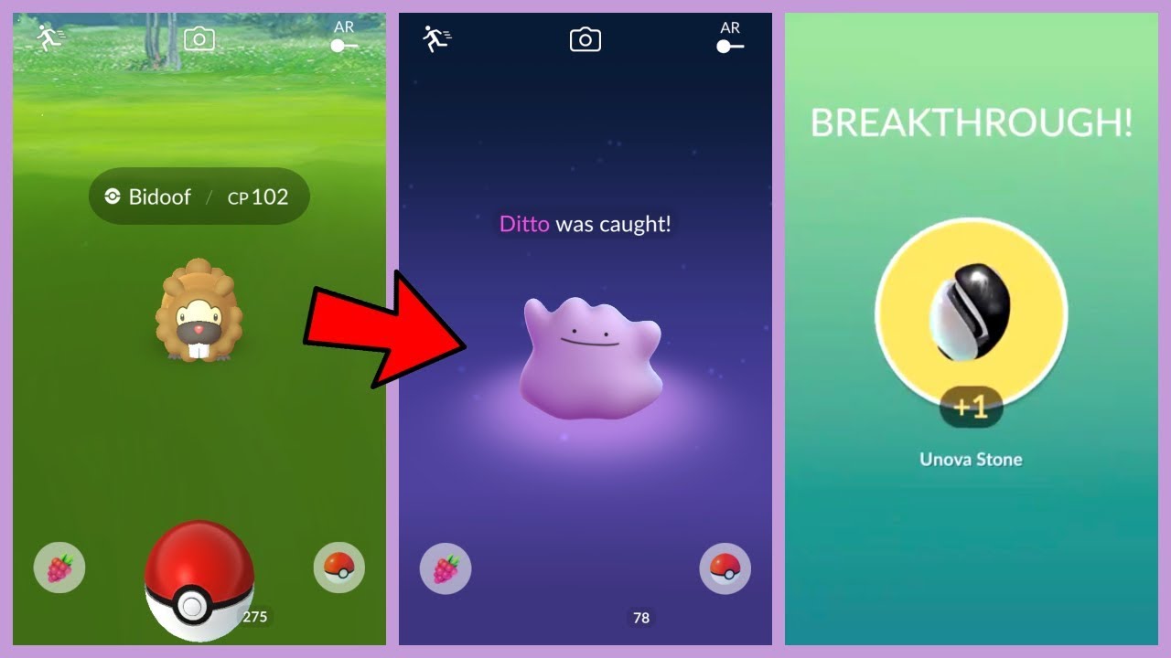 HOW TO GET A UNOVA STONE IN POKEMON GO! New Ditto ...