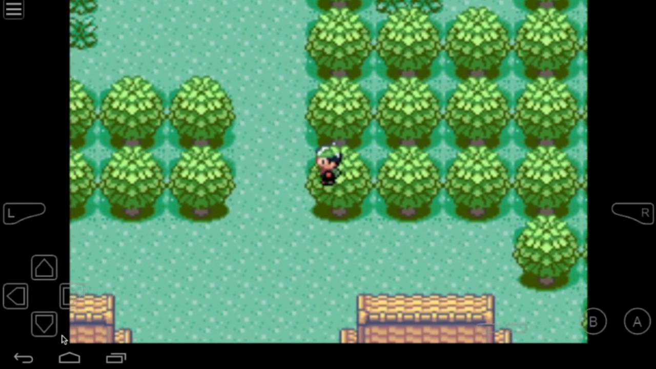 Pokemon HD: Pokemon Mega Emerald X Y Cheats Walk Through Walls