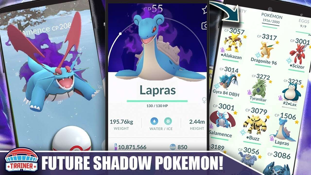 THE FUTURE OF SHADOW POKEMON... THE FULL LIST OF ALL ...