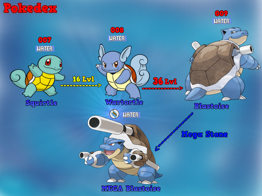 Evolution squirtle Squirtle Evolution