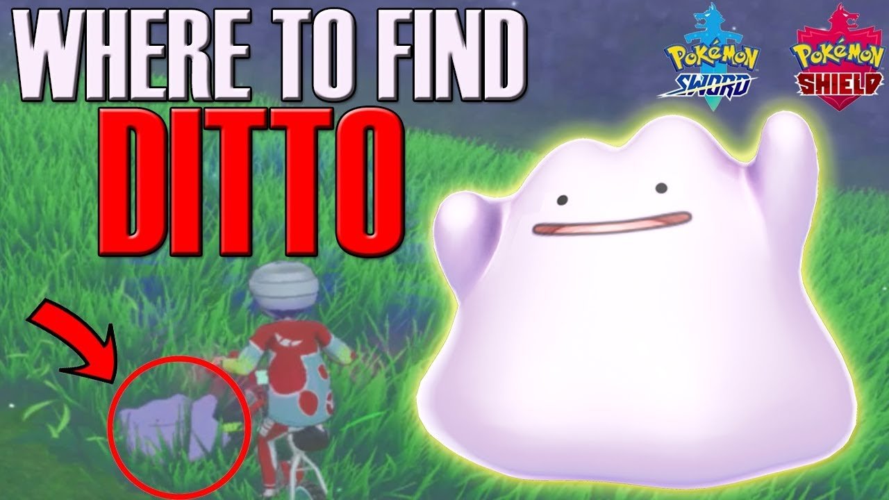 Where to find Ditto in Pokemon Sword &  Shield